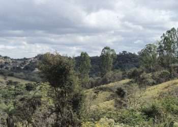 Copasa promove recuperação ambiental na Cidade dos Meninos em Ribeirão da Neves