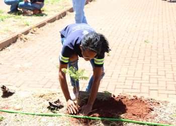 Com foco em sustentabilidade, Copasa apoia projeto de arborização urbana em Frutal